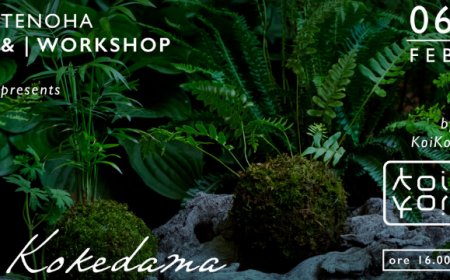 Doppio appuntamento a Tenoha Milano alla scoperta di Kokedama e Bento