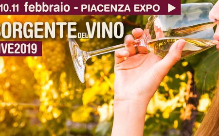 È in arrivo Sorgentedelvino LIVE, il salone delle piccole cantine naturali