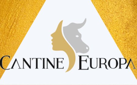 Cantine Europa rinnova il CdA: alla presidenza l'agronomo Nicolò Vinci