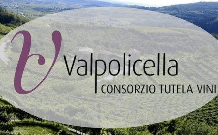 L'Amarone non conosce recessione