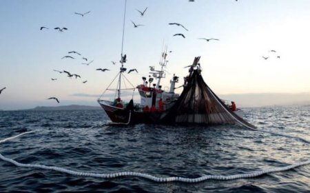 L'accordo UE sulla pesca piace agli operatori siciliani