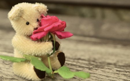 Regali a san Valentino: nella top 5 immancabili cioccolatini e bollicine