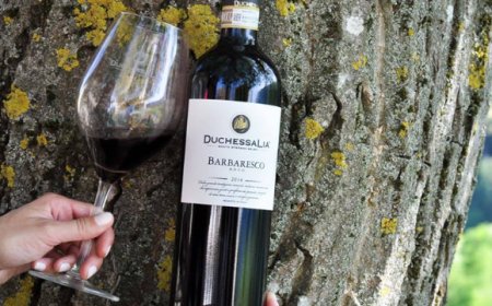 Duchessa Lia: i migliori bianchi e rossi DOCG dall'aperitivo al dessert