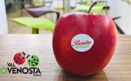 Bio Val Venosta a BioFach 2019: Eberhöfer parla delle novità del 2019