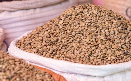 Il caffè, la bevanda più amata al mondo