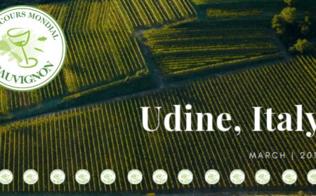 A Udine in arrivo il Concorso Mondiale del Sauvignon