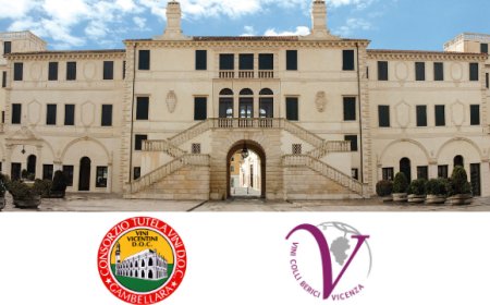 Il Consorzio Tutela Vini Gambellara arriva al Palazzo del Vino di Lonigo