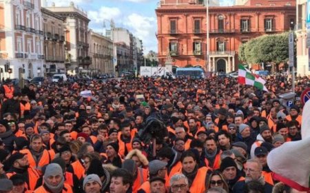 Arrivano i gilet arancioni, la protesta degli olivicoltori italiani