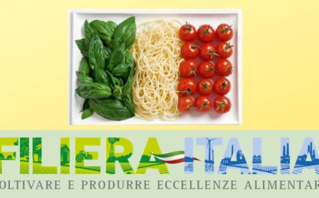 Filiera Italia: export agroalimentare in crescita ma trend dimezzato sul 2017
