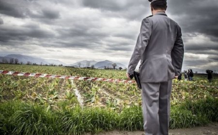 Agromafie, un business da 24,5 miliardi di euro