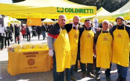 Pecorino Day: una giornata a sostegno degli allevatori sardi