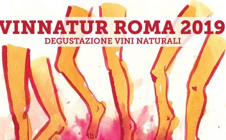 A VinNatur spazio a vino e cibo di qualità