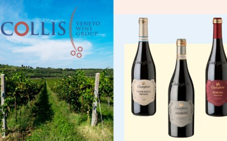 I vini Castelforte collezionano premi internazionali