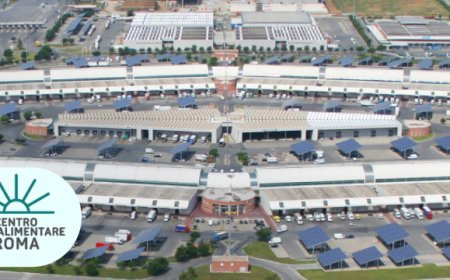 L'Accordo d'Intesa fra il mercato di Roma e Barcellona farà crescere entrambi i Paesi