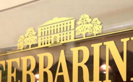 Gruppo Pini investe in Ferrarini e sfida i mercati globali