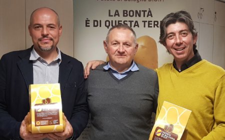Patata di Bologna DOP: nuova presidenza e cda per il Consorzio