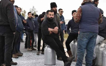 Pastori sardi: tregua in attesa del tavolo del 7 marzo