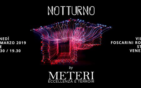 Notturno: Meteri porta a Stra l'Europa del vino naturale