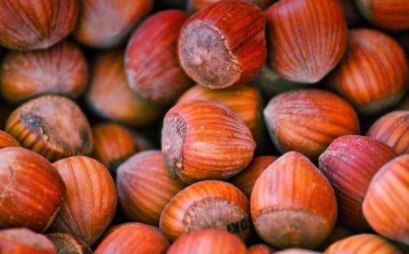 Per il Bacio Perugina Nestlé investe nella nocciola tonda francescana