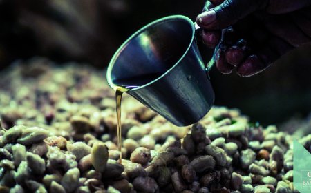 Chocolate Academy Center Milano: workshop sulla fermentazione applicata al cacao