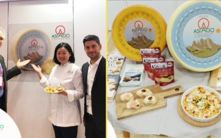 Tutela Formaggio Asiago Dop in Giappone ottiene il ritiro di prodotto contraffatto