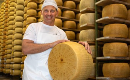 Parmigiano Reggiano Organic: una delle varietà più ricercate