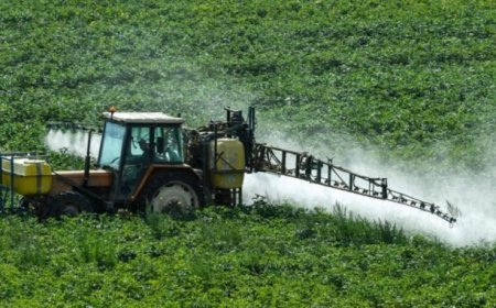 Glifosato: una mozione in Senato per rivedere le norme di utilizzo