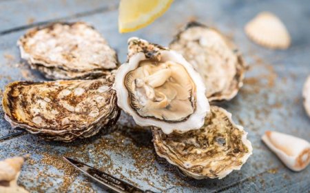 I love Ostrica a Spirit of Ireland per la festa di San Patrizio