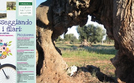 In Puglia due giorni dedicati alla scoperta delle vie del vino e dell'olio