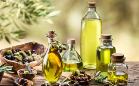 Torna la Guida agli Extravergini di Slow Food Italia