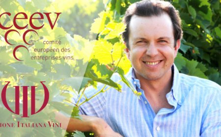 Domenico Zonin rieletto alla vicepresidenza del CEEV