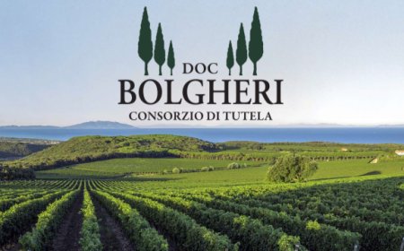 Doc Bolgheri: dalla Toscana 190 ettari in più per crescere