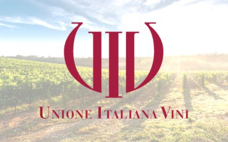 Mercato mondiale Vino: UIV commenta il calo del commercio 2018