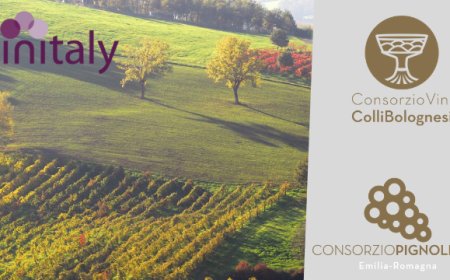 L'Emilia Romagna al Vinitaly 2019 con 120 etichette