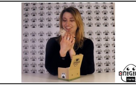 Onigiri Mania: milanesi come "samurai" nella pausa pranzo