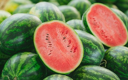 L’anguria pontina entra nell’elenco dei PAT - Prodotti Agroalimentari tradizionali