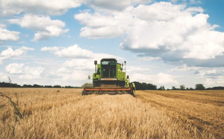 Agricoltura: 500 milioni per le filiere made in Italy