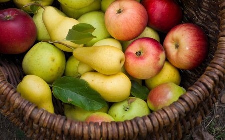 Via della Seta: mele, pere e uva italiane fuori dall'accordo con la Cina