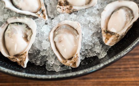 Cresce la produzione di ostriche italiane