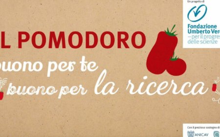 Il pomodoro simbolo della campagna antitumori della Fondazione Veronesi