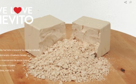 Arriva sul web welovelievito.it per sfatare le fake news sul lievito