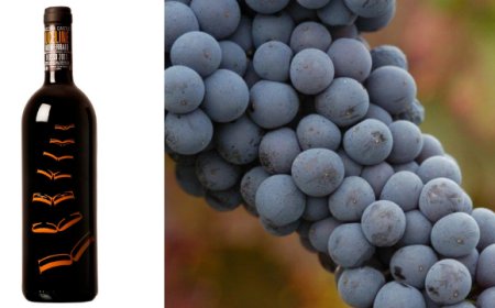 A Uvantica storica verticale di Uvalin Uceline di Cascina Castlèt