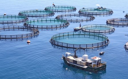 Il pesce di allevamento piace agli italiani