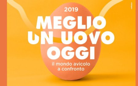 Meglio un uovo oggi: il mondo avicolo a confronto a Modica