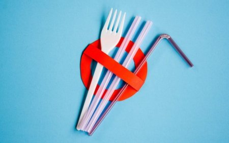 Approvata direttiva UE su plastica monouso: limitazioni dal 2021