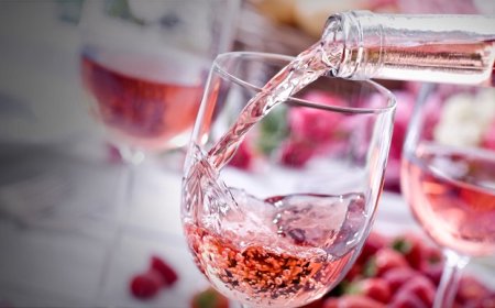 Nasce Rosautoctono, l'Istituto che riunisce i produttori di vino rosato