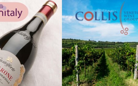 Collis-Riondo: tante le novità da presentare al Vinitaly 2019