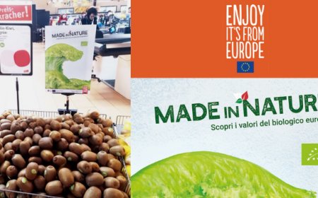Il progetto Made in Nature porta nella GDO tedesca il kiwi bio italiano