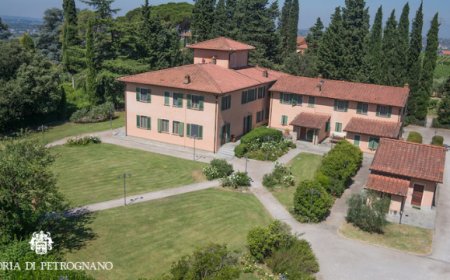 La rinascita di Fattoria di Petrognano di Pellegrini S.p.A.