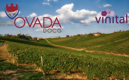 Ovada DOCG a Vinitaly per affermare il ruolo di questo vitigno piemontese